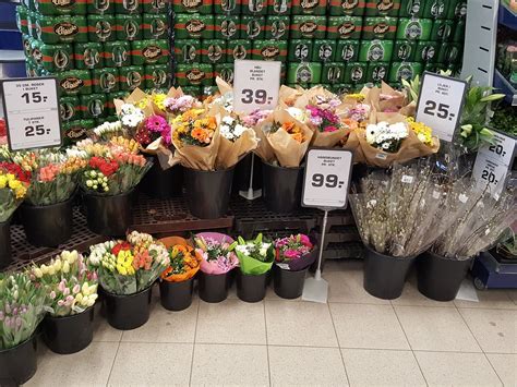 Blomster Hundested. Send blomster til Hundested